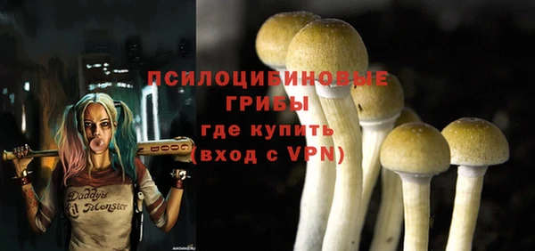 метадон Богородск