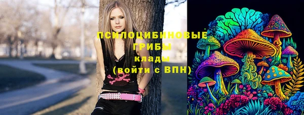 амф Белокуриха