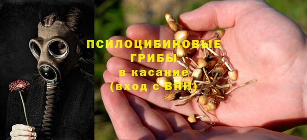 амф Белокуриха
