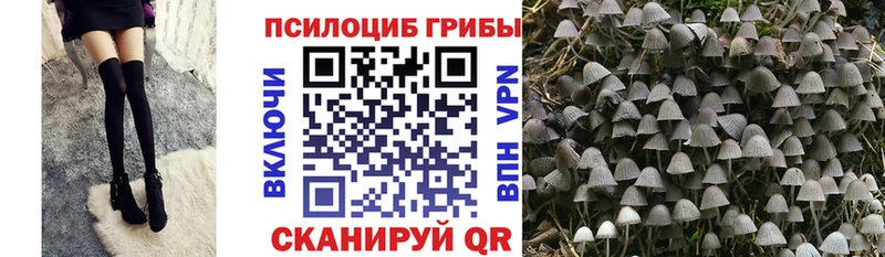 Галлюциногенные грибы GOLDEN TEACHER  что такое наркотик  Александровское 